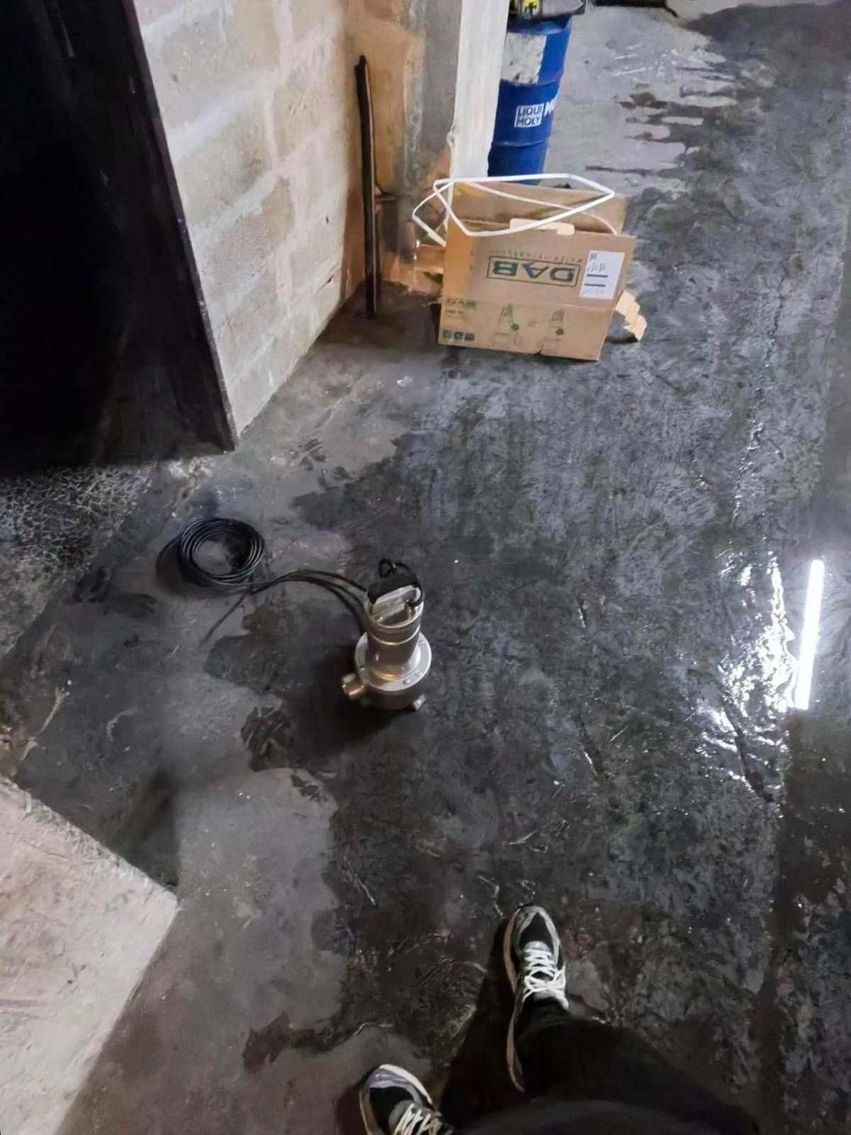 Assèchement d'un local commercial après fuite — Champs-sur-Marne (Seine-et-Marne) · Atelier Brochant