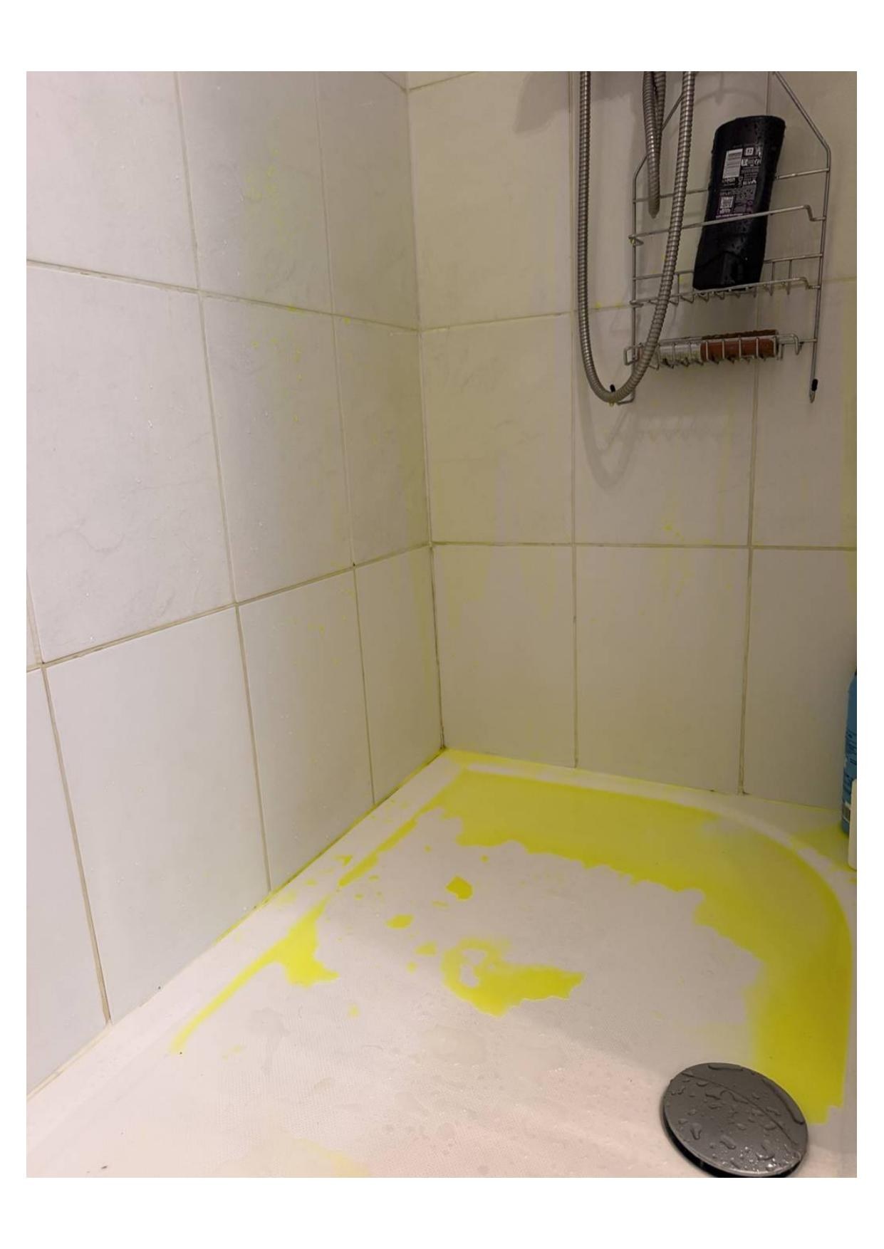 Recherche de fuite non destructive — inspection technique par Atelier Brochant